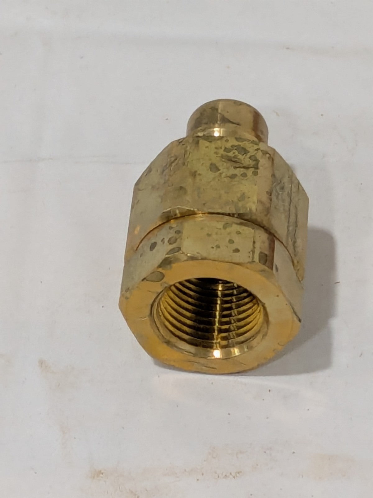 PARKER Hydraulic Hose Valve Fitting: 1/2", 1/2", 2,000 psi BVHN8-8F