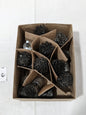 OSBORN End Brushes: 3/4" Dia, Steel, Crimped Wire Qty 12 30061