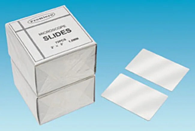 Ted Pella Large Plain Economy Glass Slides Beveled Corners 3"X2" QTY 1