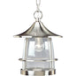 Progress Lighting Transitional Seeded Glass Lanern Pendant Light P5563-09