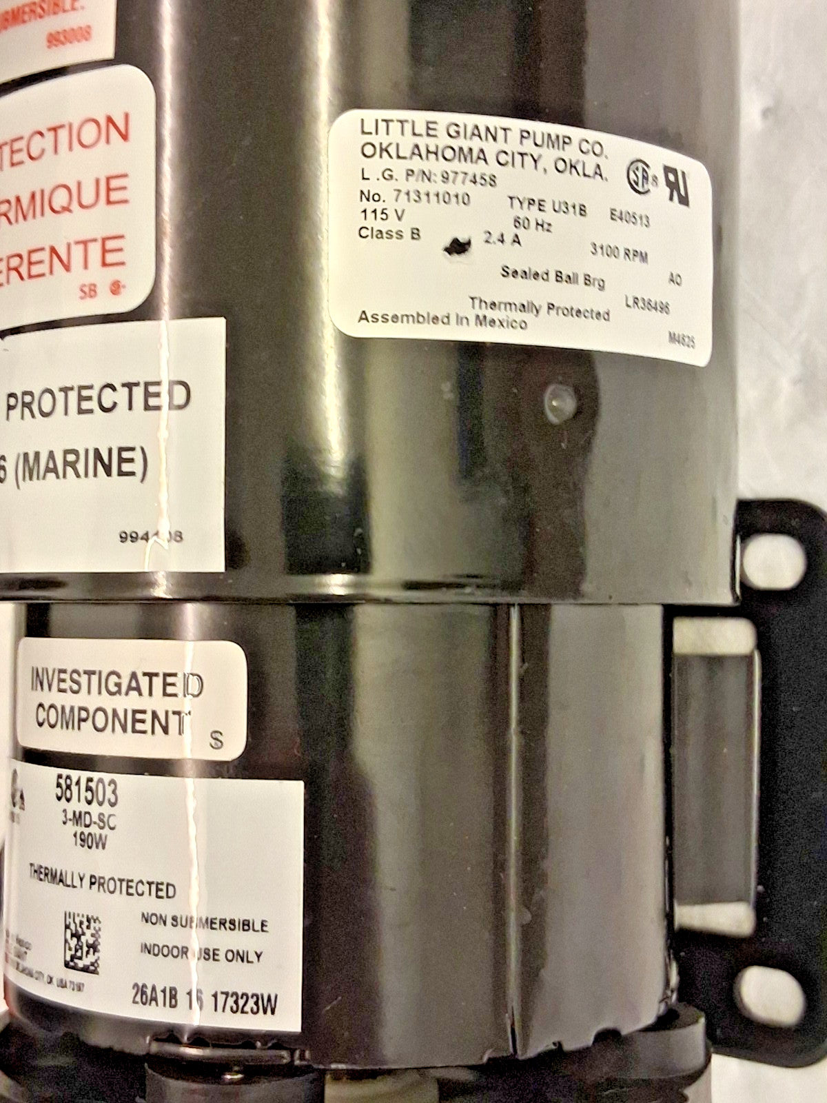 Little Giant Pumps Magnetic Drive Pump 581503