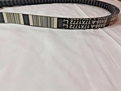 Continental Cogged V-Belt BX 71 in Outside Length Qty 2 BX68