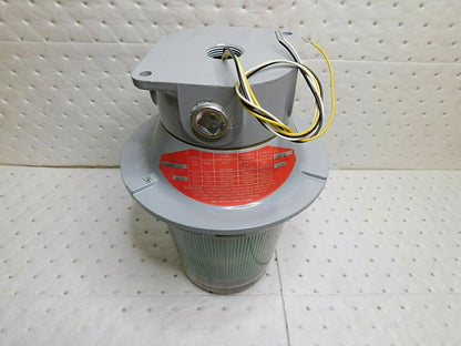 Edwards Signaling LED Flashing or Steady-On Beacon-Green Light 107XBRCMG120A