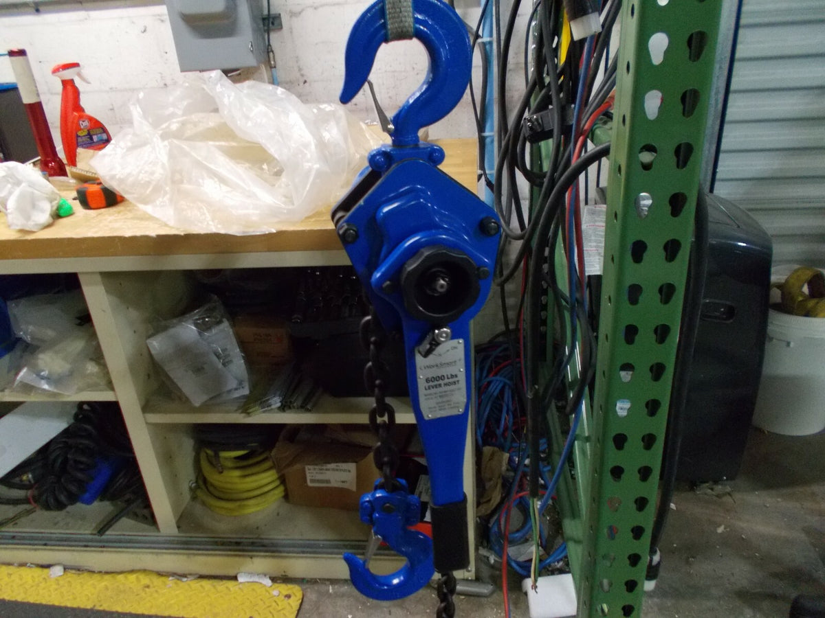 Pro Series 6,000 Lb Lifting Capacity, 10' Lift Height, Lever Hoist  WS-hois