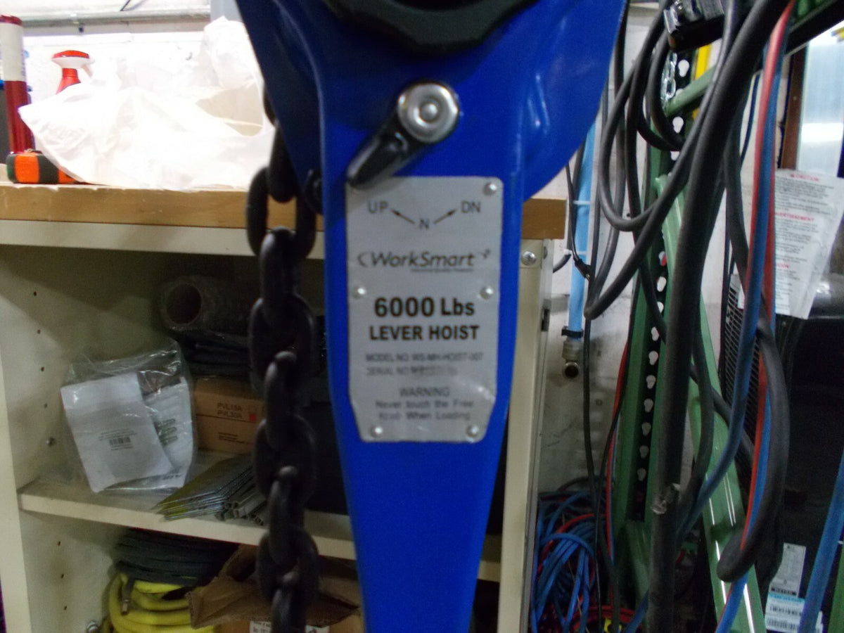 Pro Series 6,000 Lb Lifting Capacity, 10' Lift Height, Lever Hoist  WS-hois