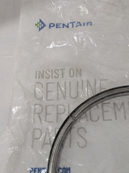 Pentair Pump Band Clamp With Knob for Challenger Pump 355320Z