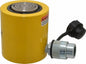 Enerpac 20 Ton Low Height Hydraulic Cylinder RCS201