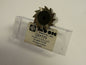 Moon 1"Diam Shank 12 Teeth Connection Woodruff Keyseat Cutter 40606220