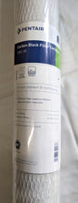 PENTAIR Carbon Block Filter Cartridge CBC-20  155309-43