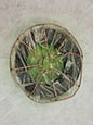 Lincoln Electric MIG Steel Alloy Solid Welding Wire 33Lb ED037105