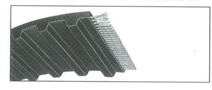 Thermoid Grip-Tite Timing Belt 1250H300