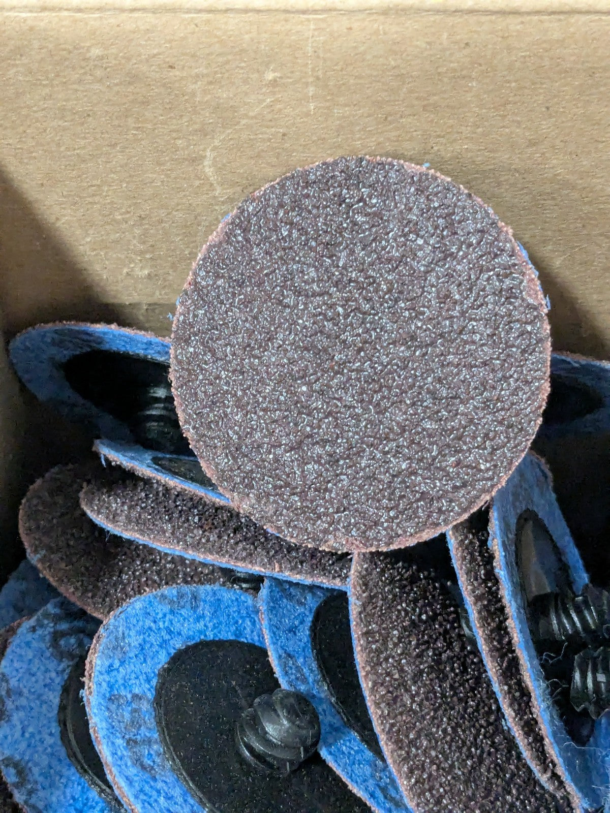 (100) Norton Quick-Change Disc: Type R, 2" Dia, 36G, Aluminum Oxide 66261121019