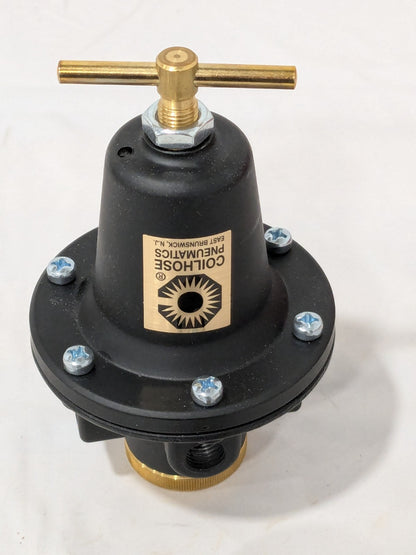 Coilhose Compressed Air Regulator: 1/2" NPT, 250 Max psi 8804G