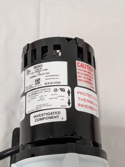 Little Giant Magnetic Drive Pump 1/25 HP, 14.6 Shut Off Feet 580503