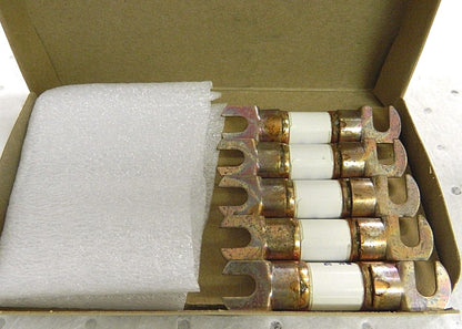 Mersen Ferraz Shawmut Forklift &amp; Truck Fuses 80A 125V Qty. 5 #ACL80