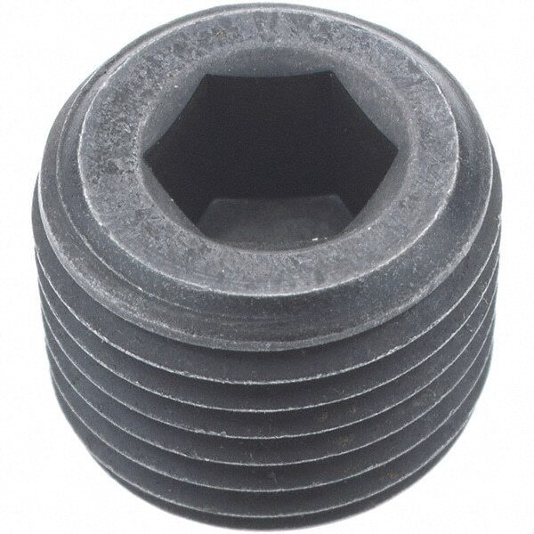 HOLO-KROME 1/8-27, 5/16" OAL, Alloy Steel Socket Pressure Plug Qty 100 10004