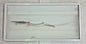 Lithonia Lighting LED Lamp Troffer 39 Watts 2ft x 4ft 224GP5