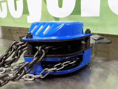 WorkSmart Manual Hand Operated Chain Hoist 4000 lb Capacity 20 ft Lift