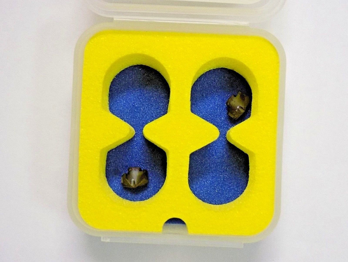 Iscar Chamdrill Series IDI-SG Replaceable Drill Tip SET OF 2 5505455