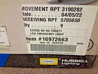 Hubbell Lighting 2 Head LED Emergency Lighting Unit 16972663