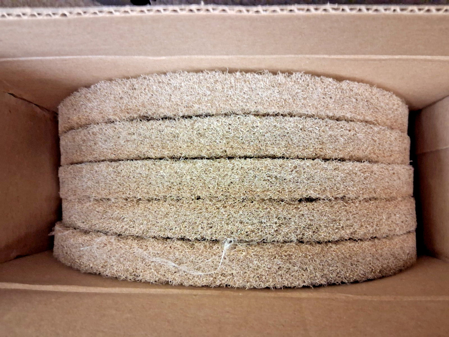 Americo Floor Polishing Pads QTY 5 401413