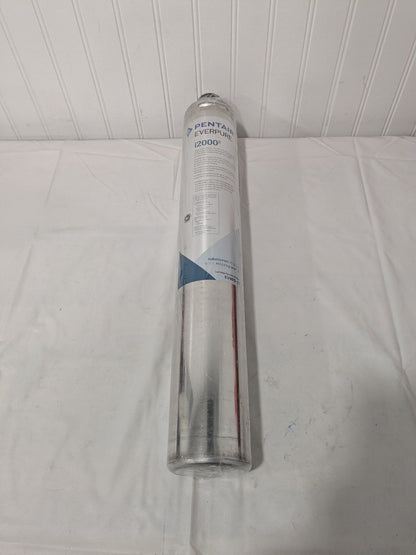 Pentair Plumbing Cartridge Filter: 3-1/4" OD, 20-3/4" Long, 0.5 micron EV961222