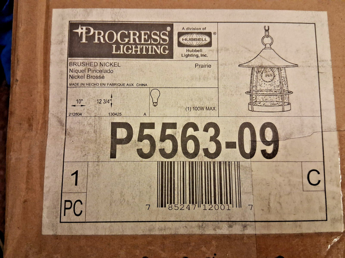 Progress Lighting Transitional Seeded Glass Lanern Pendant Light P5563-09