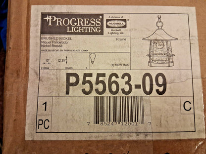 Progress Lighting Transitional Seeded Glass Lanern Pendant Light P5563-09