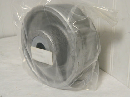 Albion Cast Iron Caster Wheel 6" Diameter x 2-1/2" Wide CA0640116