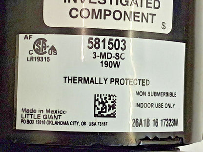 Little Giant Pumps Magnetic Drive Pump 581503