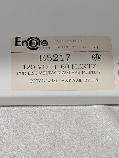 Encore Ceiling Light 120 Volt 60 Hertz 26" Long 9" Wide E5217