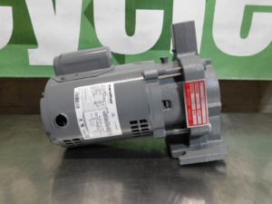 Bell & Gossett Condensate Pump 115/230 V Replacement Pump and Motor 180001