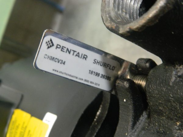 PENTAIR 115/208-230 Volt 1 hp 1 Phase ODP Cast Iron Straight Pump CHMCV34